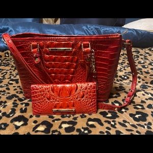 Brahmin mini Asher and ady wallet